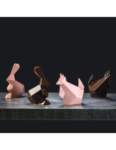 MOLDE PVC KT185 ROCKY ROGER 144x95xh180mm 2