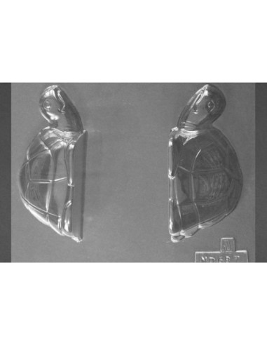 MOLDE PVC TORTUGA 3D 120x50x80mm (MD)