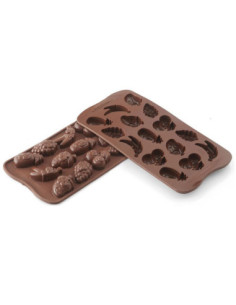 M. BOMBÓN CHOCO FRUITS - 35x25xh15mm 6ml 15c 2