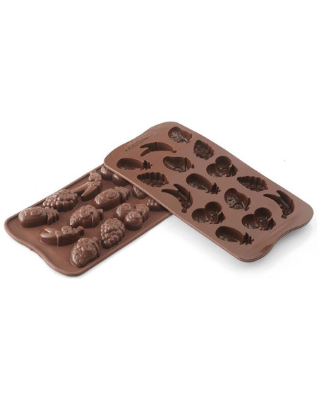 MOLDE BOMBÓN SCG32 CHOCO FRUITS