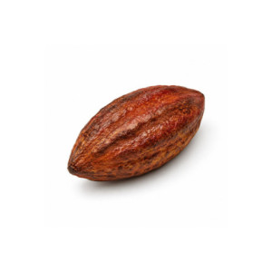 M. HABA DE CACAO - 76x46xh23mm 30ml 6c