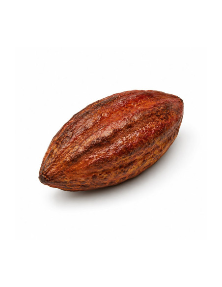 M. HABA DE CACAO - 76x46xh23mm 30ml 6c