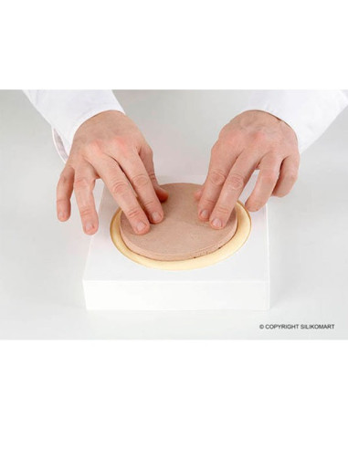 MOLDE TOR 260 H40/1Formas clásicas