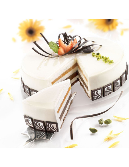 MOLDE TOR 160 H50/1Formas clásicas