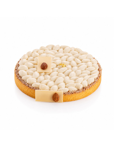 M. TOP26 ALMENDRAS - Ø180xh17mm 295ml