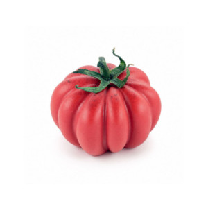 M. POMODORO 24 - Ø43xh28mm 24ml 12c
