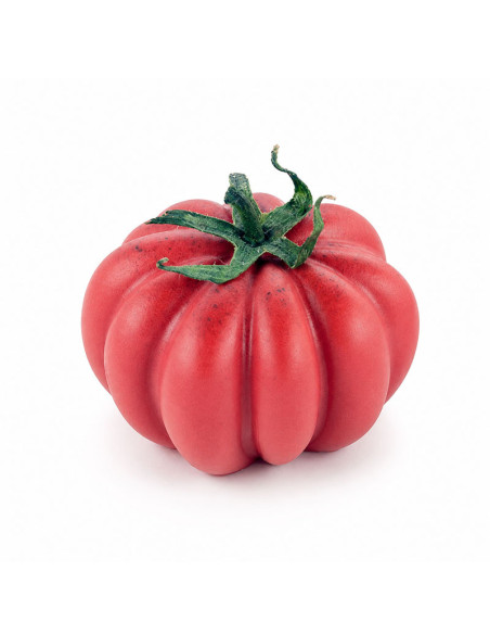M. POMODORO 24 - Ø43xh28mm 24ml 12c