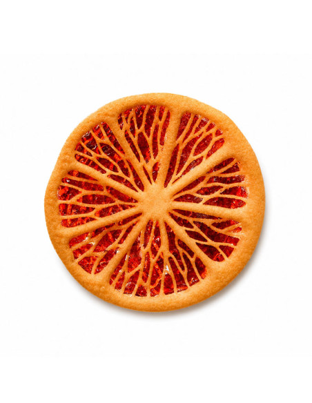 M. CITRUS - Ø60xh2mm 12c