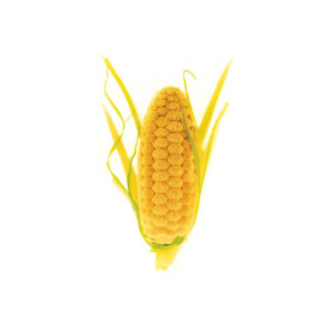 M. PANNOCCHIA 20 - 68,5x26,4xh21,2mm 20ml 12c