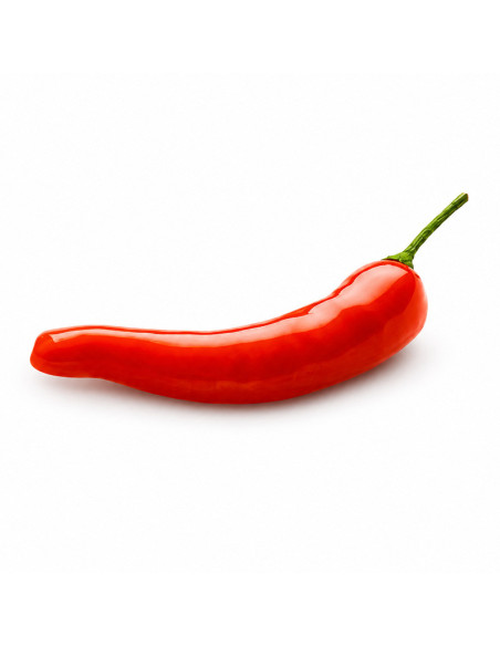 M. PEPERONCINO 13 - 91x31xh16mm 13ml 12c