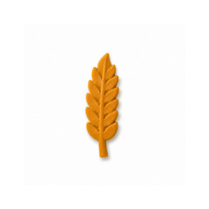 M. SPIGA - 55x17xh2,8mm 1ml 49c