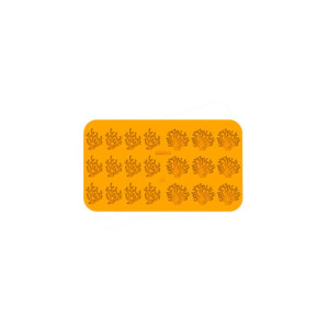 M. CORALLO - 2 Modelos 2ml 21c 2