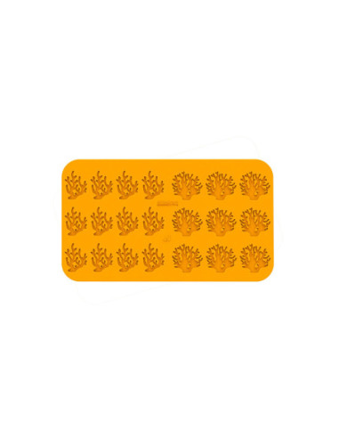 M. CORALLO - 2 Modelos 2ml 21c-1
