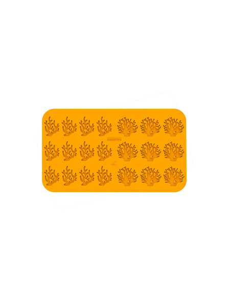 M. CORALLO - 2 Modelos 2ml 21c-1