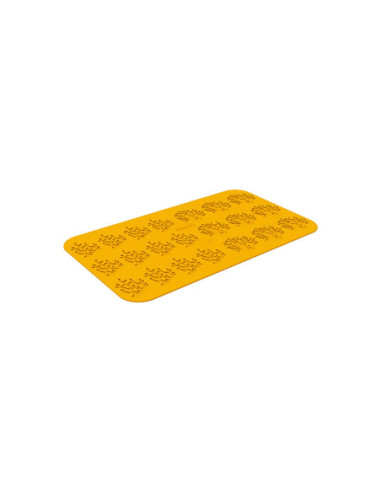 M. CORALLO - 2 Modelos 2ml 21c-2