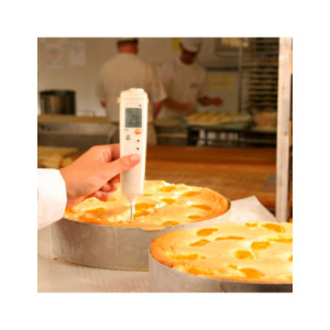 TESTO 106 TERMÓMETRO ALIMENTACIÓN 2