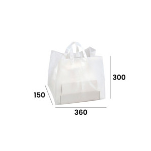 BOLSA 360/150x300mm PK(25u) FONDO PLANO 50 micras 2