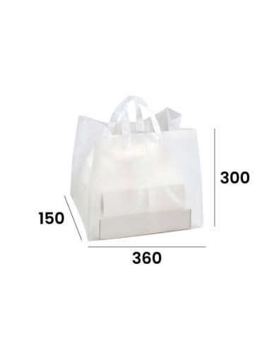 BOLSA 360/150x300mm PK(25u) FONDO PLANO 50 micras-2