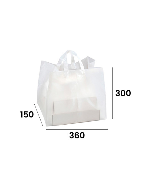 BOLSA 360/150x300mm PK(25u) FONDO PLANO 50 micras-2