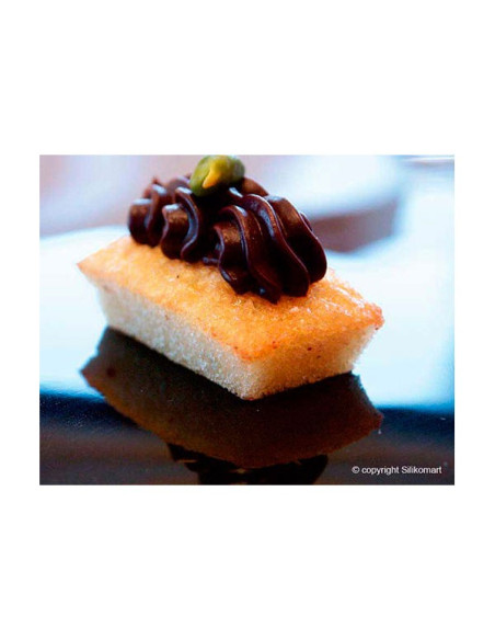 MOLDE DE SILICONA SF025 FINANCIERS