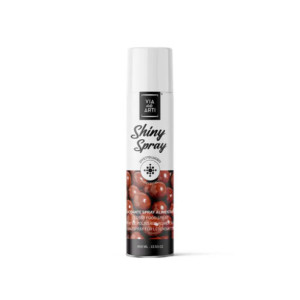 BARNIZ ALIMENTARIO SPRAY 400 ml