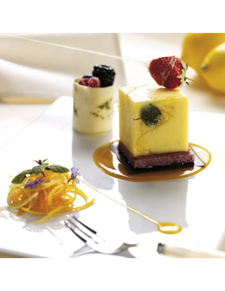 MOLDE DE SILICONA SF104 CUBE