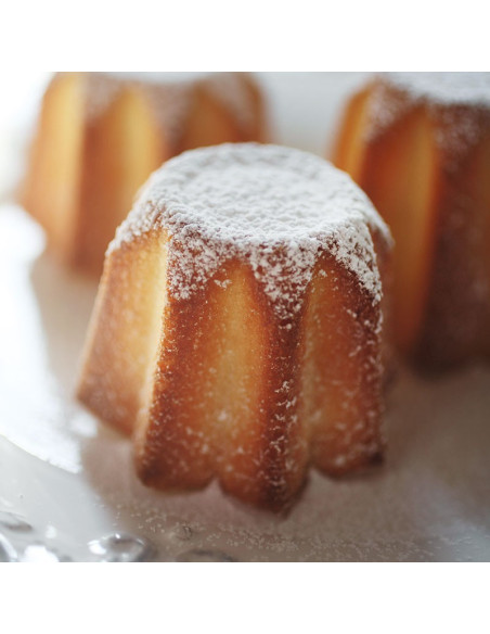 MOLDE DE SILICONA SF100 PANDORINO