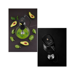 HENDI BLEND BATIDORA DE BRAZO 250W 2