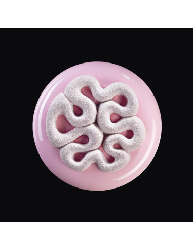 MOLDE TOP16 MINI JELLYCake Decor