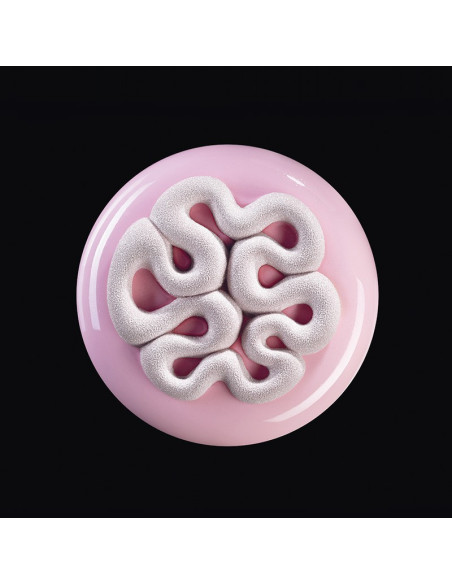 MOLDE TOP16 MINI JELLYCake Decor