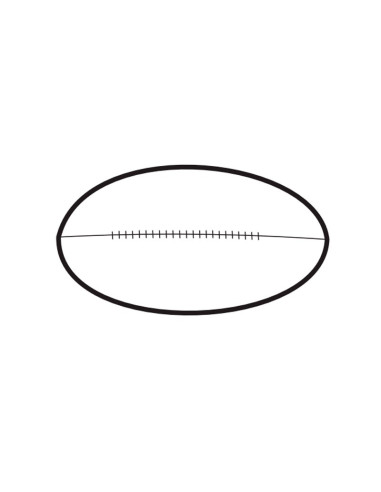 MOLDE PVC PELOTA RUGBY D106x172mmPvc Deportes