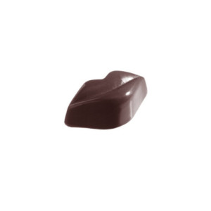 MOLDE CW1296 LABIOS 49x26x17mm 21p 275x135mm