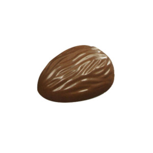 MOLDE M09 NUEZ 26x35x14mm 30p 175x275
