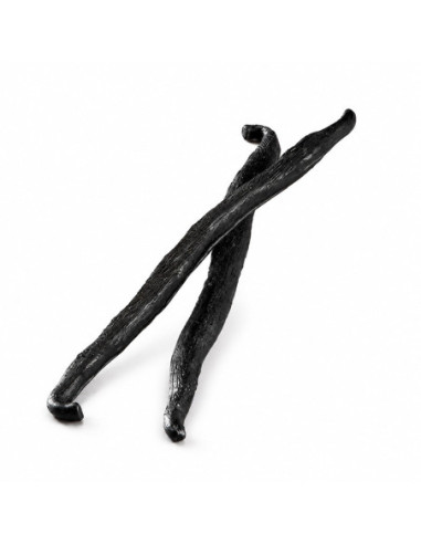 M. VAINILLA - 150x15xh6 mm 4ml 10c