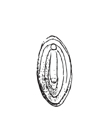 M. PVC VAGINA GRANDE 160x85mm (1i)Pvc Erótico