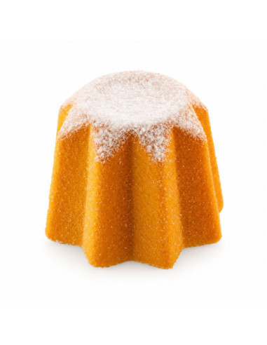 M. PANDORO XS18 - Ø40xh30mm 18ml 18c