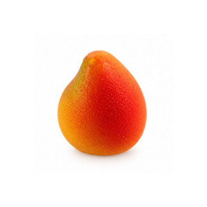 M. MANGO 15 - Ø30xh36mm 18c 15ml