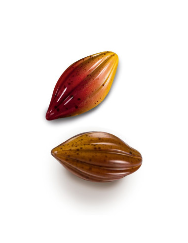 MOLDE MA1018 HABA DE CACAO 21 p. POLICARBONATOColección Elegance 27...