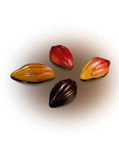 MOLDE MA1018 HABA DE CACAO 21 p. POLICARBONATOColección Elegance 27... MOLDE MA1018 HABA DE CACAO 21 p. POLICARBONATOColección Elegance 27...