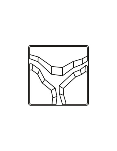 MOLDE COMASCHI ABYSS PC66Masters