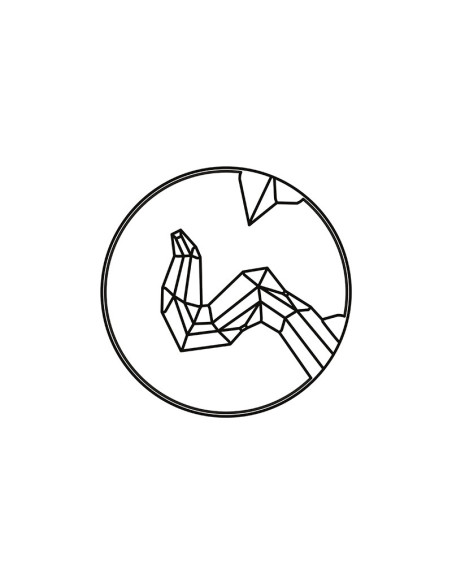 MOLDE COMASCHI ABYSS PC67Masters