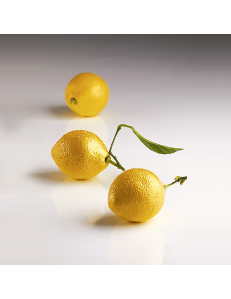 MOLDE AF006S CITRON CEDRIC GROLETPavoni Monoporciones