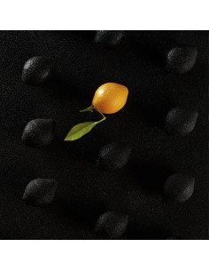 MOLDE AF006S CITRON CEDRIC GROLETPavoni Monoporciones 2