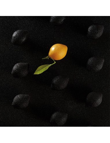 MOLDE AF006S CITRON CEDRIC GROLETPavoni Monoporciones MOLDE AF006S CITRON CEDRIC GROLETPavoni Monoporciones