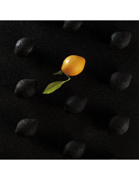 MOLDE AF006S CITRON CEDRIC GROLETPavoni Monoporciones