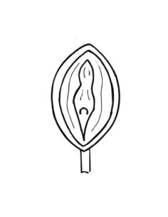 MOLDE PVC PIRULETA ERÓTICA VAGINA 60x40x10mm (3c)