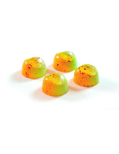 MOLDE BONBONS BACHOUR PC45