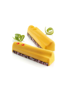MOLDE SURF SQ040 24 p 119x35x32mm 104ml