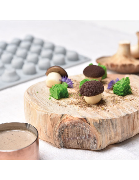 MOLDE GG025 CHAMPIÑÓN GOURMAND 300X175Gourmand