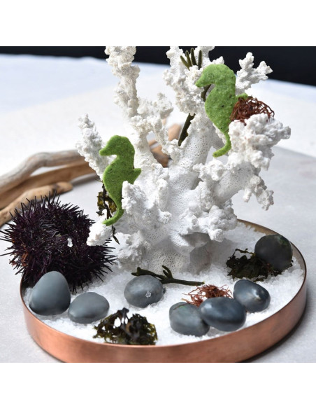 MOLDE GG019 PIEDRA GOURMAND 300X175Gourmand